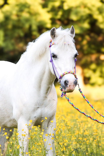 Het Paardenatelier - Rope halter set riding halter + reins ‘Rainbow’ purple