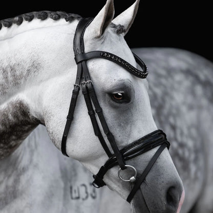 Lumiere/ Lumi Pony - Luxe Hanoverian hoofdstel 'Arcadia'