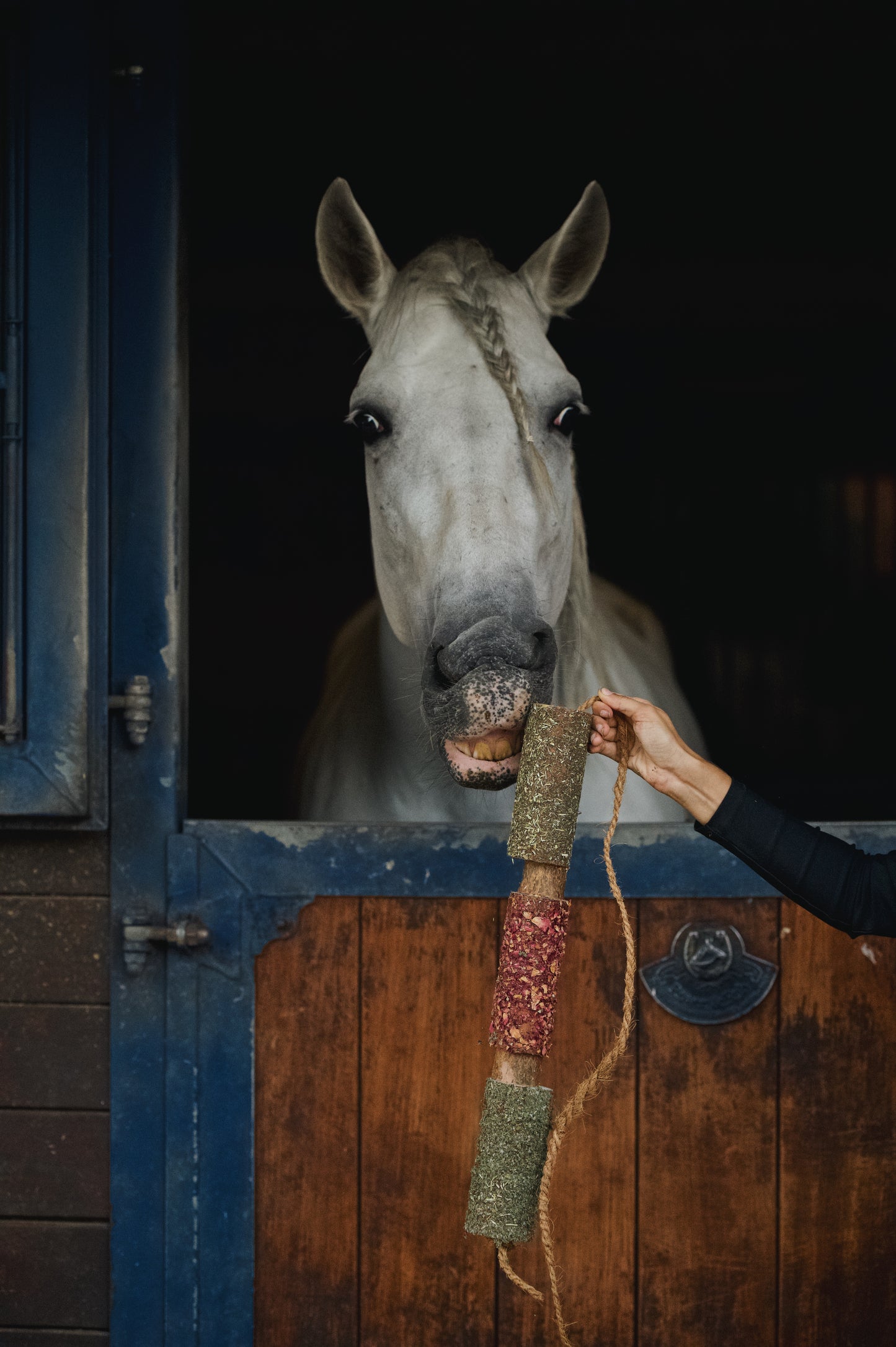 Herbi Horse - Houten speeltouw met kruiden (diverse)