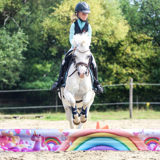 Jumpbanners - Hinderniszeil Bixie Unicorn Dreams