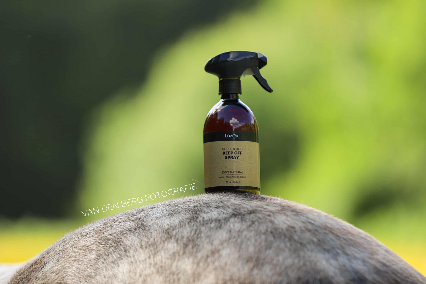 Laveos - Spray Keep Off (flacone)
