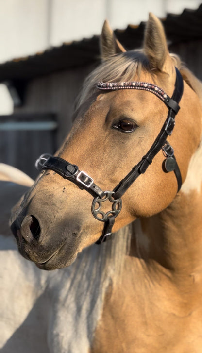 Moeders Mooiste Browbands - Deluxe “Milos Diamanté” Z-N