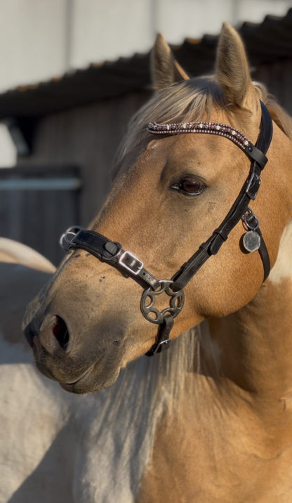 Moeders Mooiste Browbands - Deluxe “Milos Diamanté” Z-N