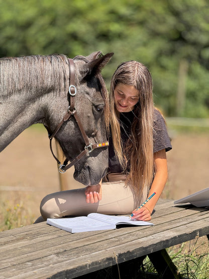 Pony Creative - Planner (EN)