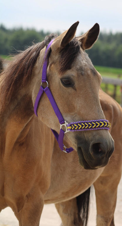 Freni per cavalli fatti a mano - Capestro annodato ‘Followmyhooves’ viola/giallo