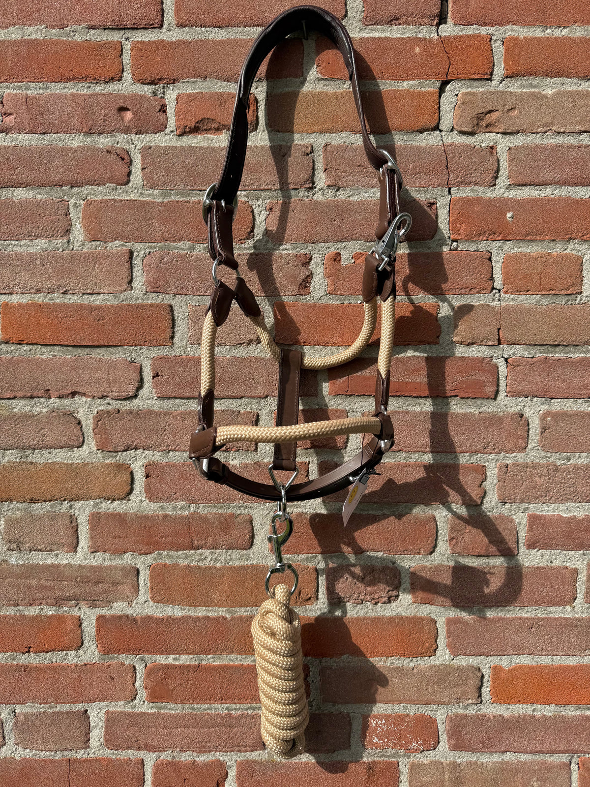 FMH - Havana lederen halsterset met gekleurd touw incl. halstertouw ‘Cream Heritage’