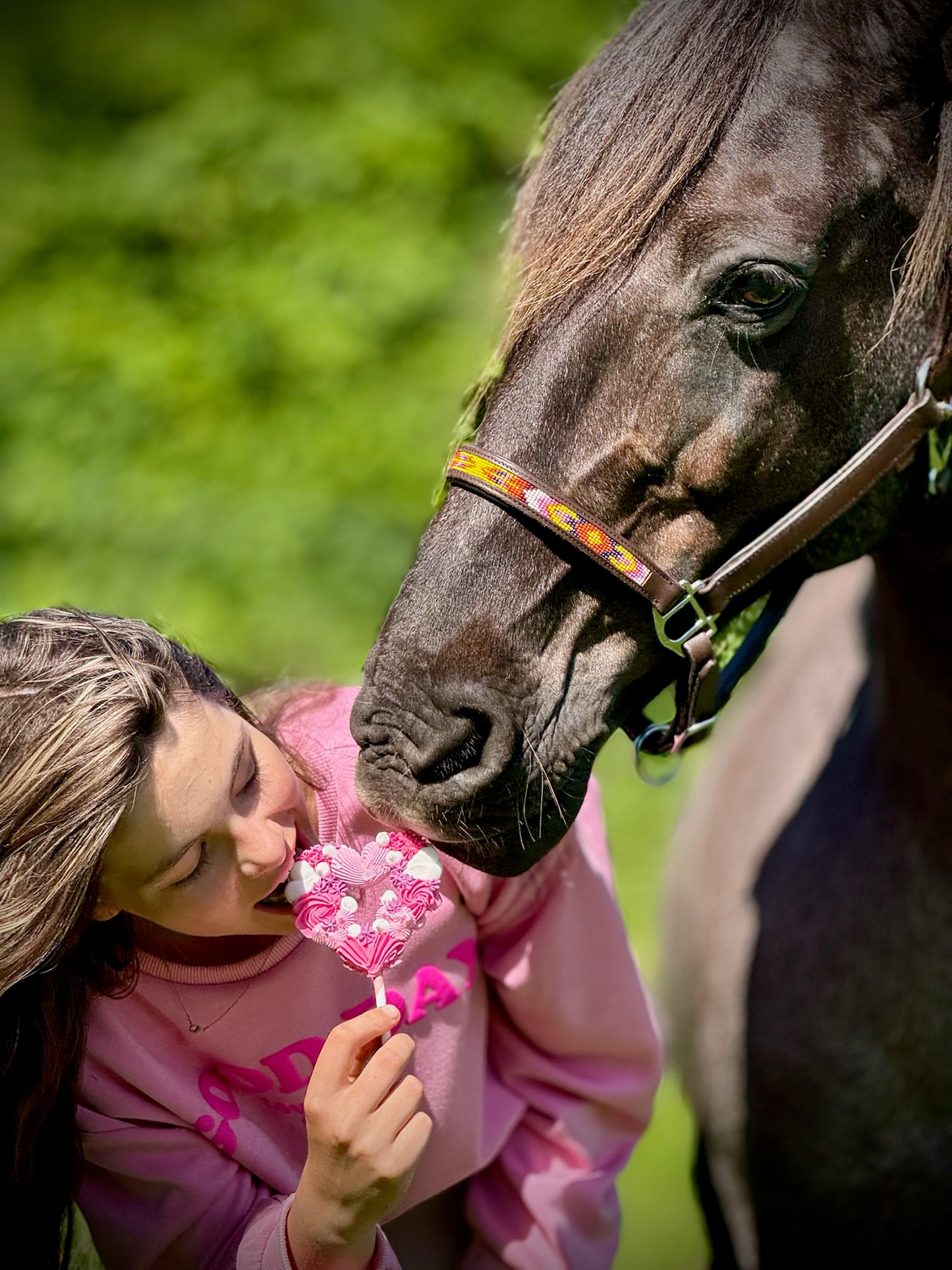 Candy Horse - Lolly