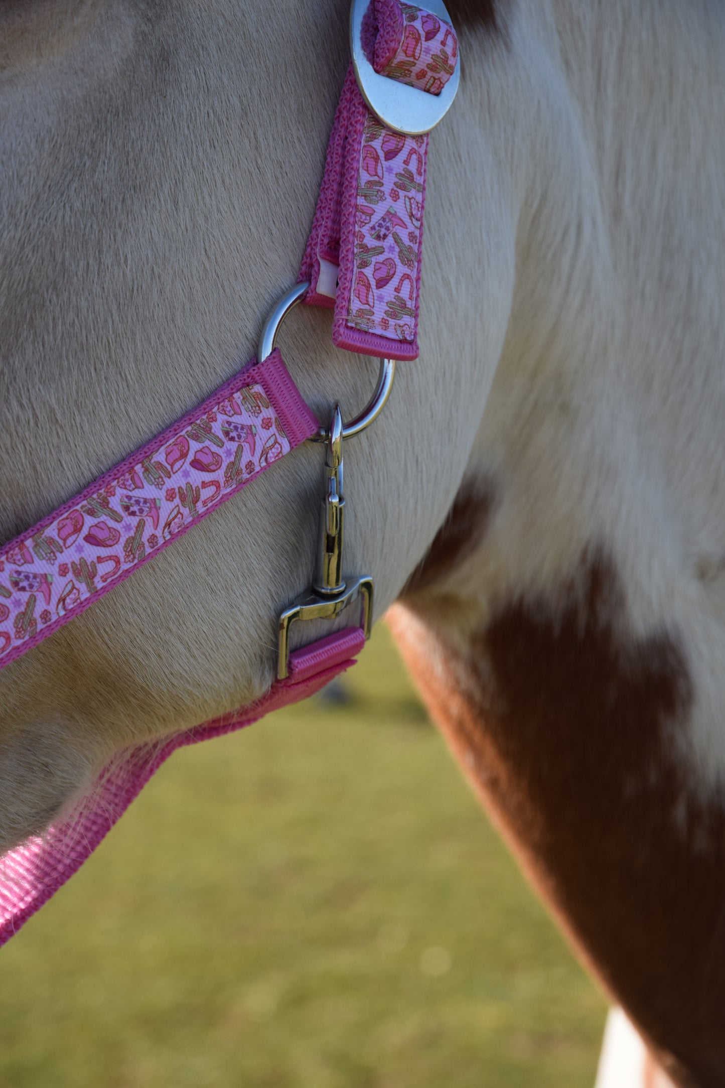 Happy Halters x FMH - Pink Cowgirl Exclusive halter div. to colour