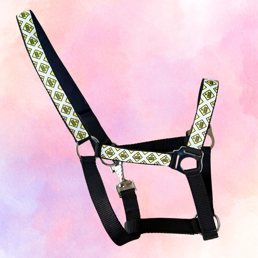 Happy Halsters x FMH - Licol exclusif Under Construction