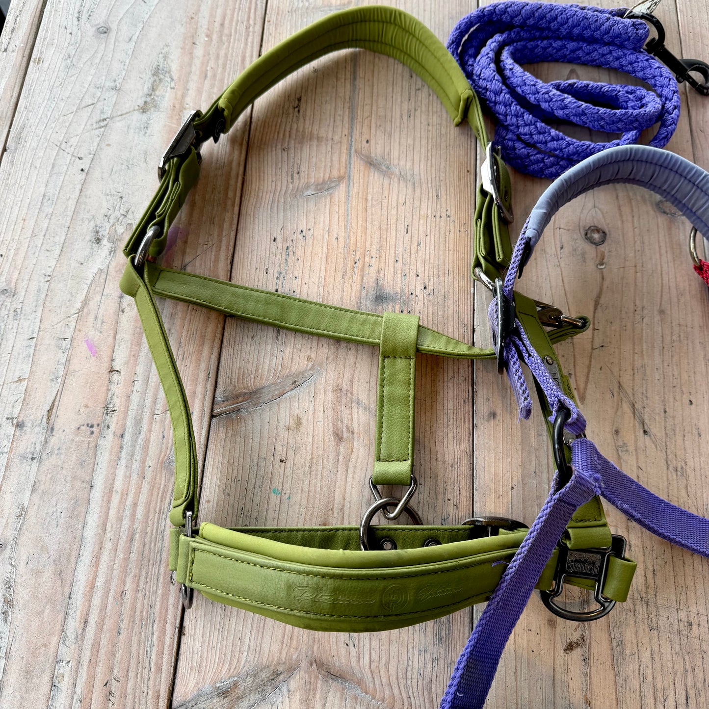 S0013 - 3 Halster en 1 halstertouw, Eskadron en QHP Cob