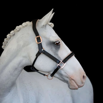 Lumière - Luxe lederen halster Hollywood roségoud
