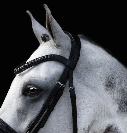 Lumiere/ Lumi Pony - Luxe Hanoverian hoofdstel 'Arcadia'
