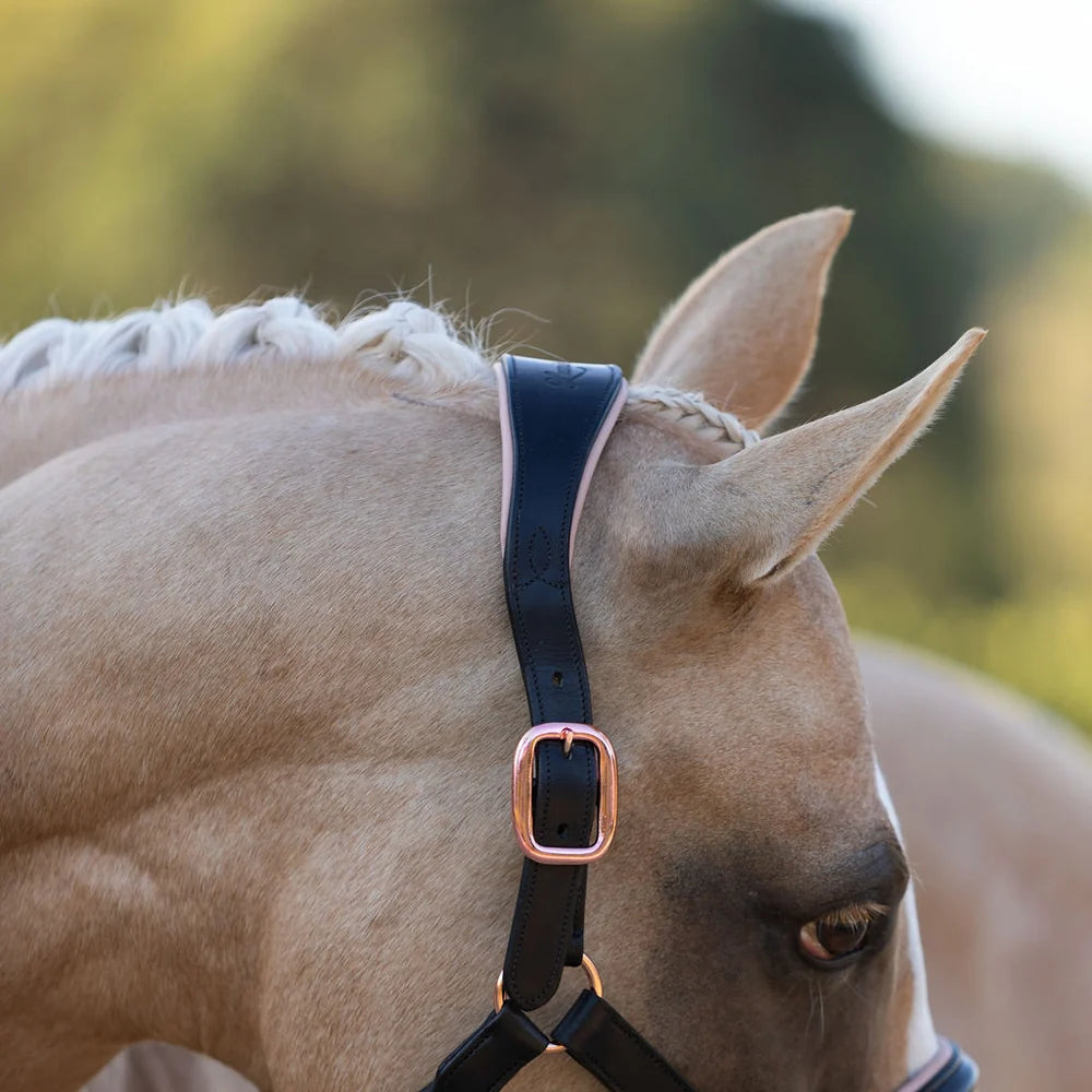 Lumière - Luxe lederen halster Hollywood roségoud