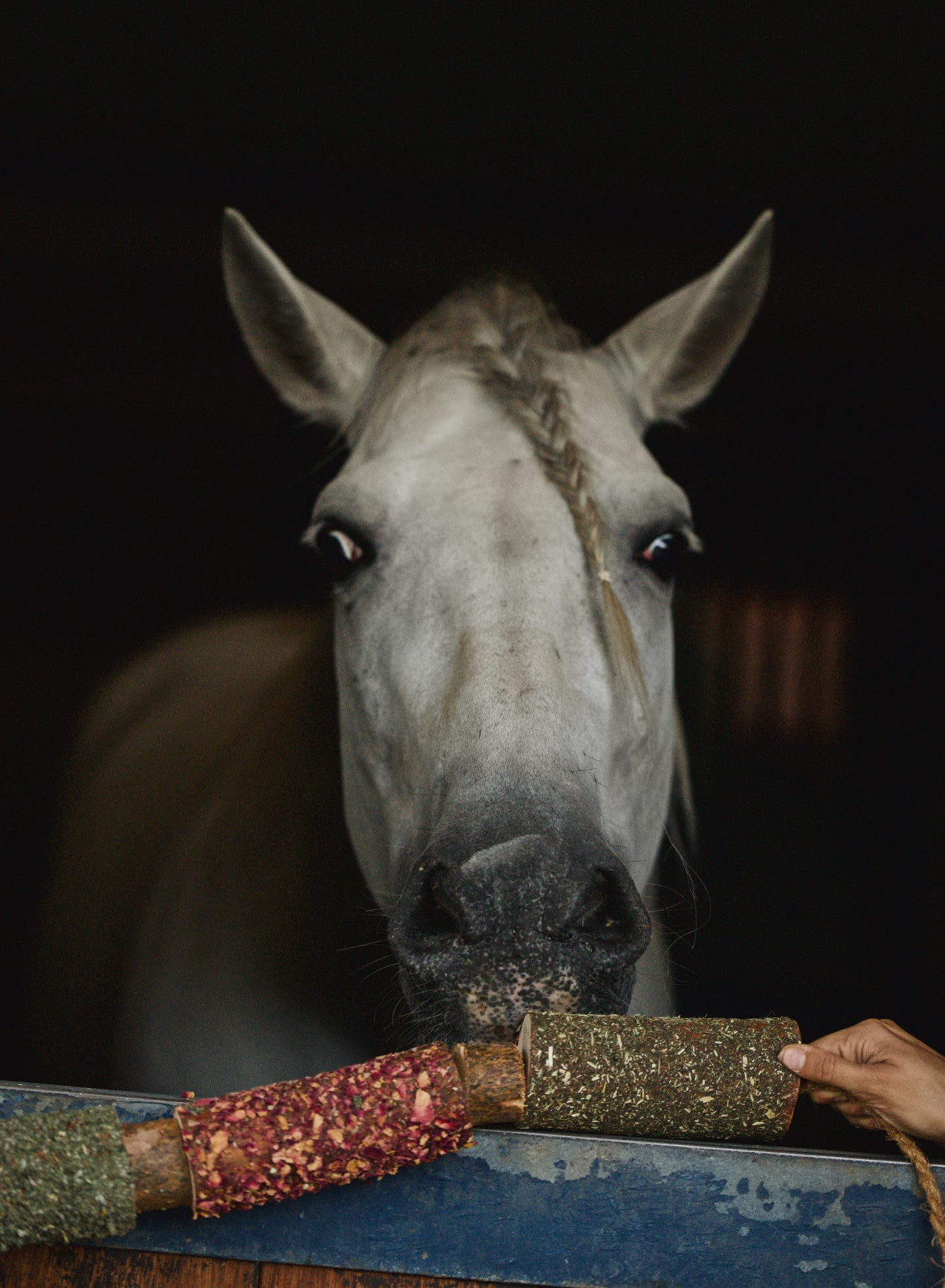 Herbi Horse - Houten speeltouw met kruiden (diverse)