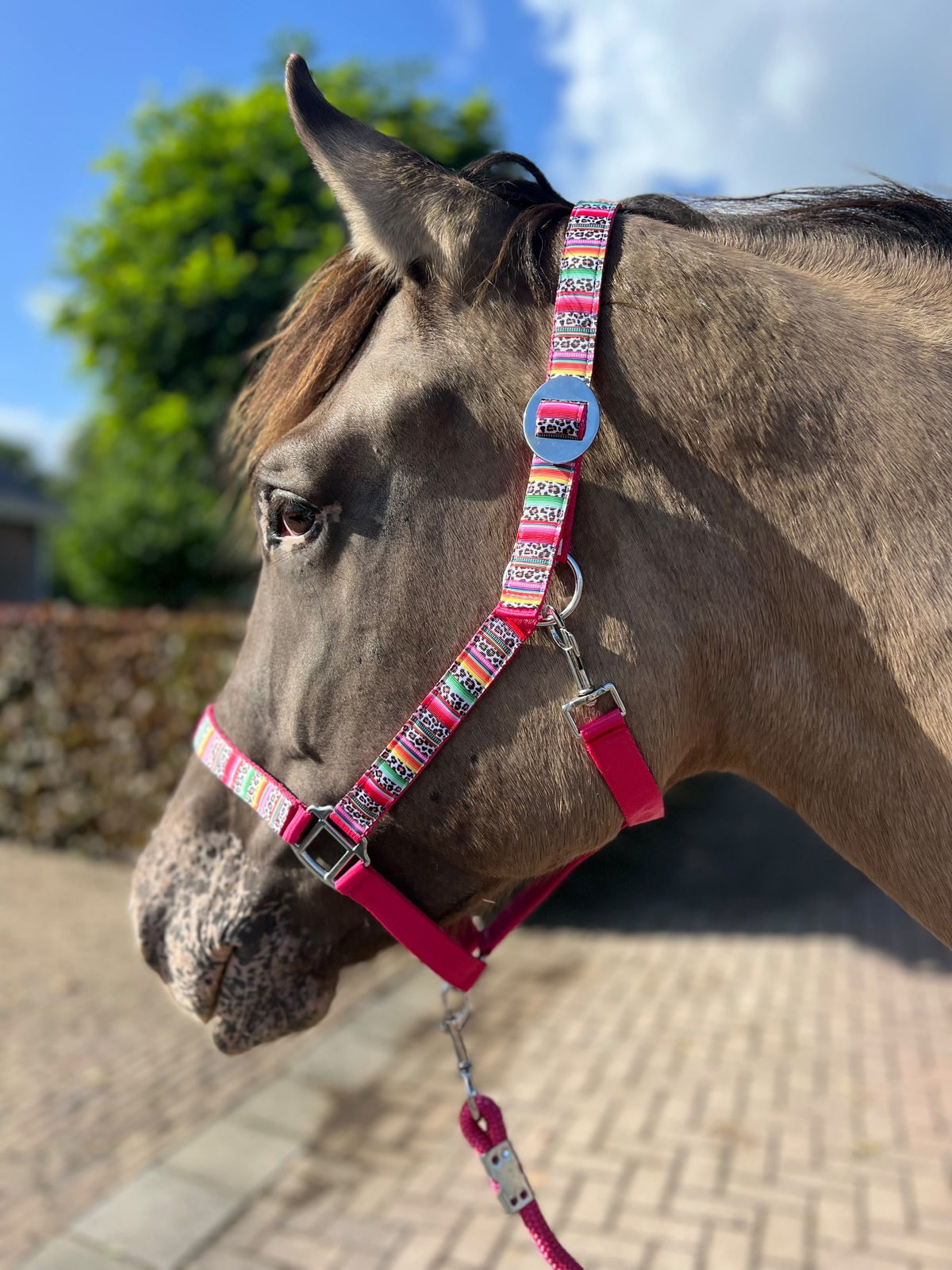 Happy Halster x FMH - Colourful Panther Exclusive halster div. kleuren