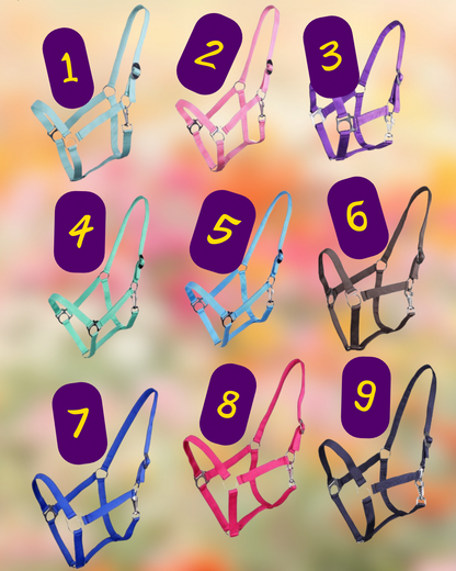 Gestalte dein eigenes! - Handgemachte Pferdehalfter - Eigenes Halfterdesign