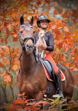 Design Your Own! - 
Moeders Mooiste Frontriemen - Eigen ontwerp frontriem