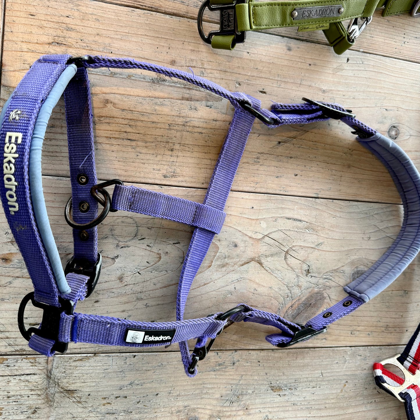 S0013 - 3 Halster en 1 halstertouw, Eskadron en QHP Cob