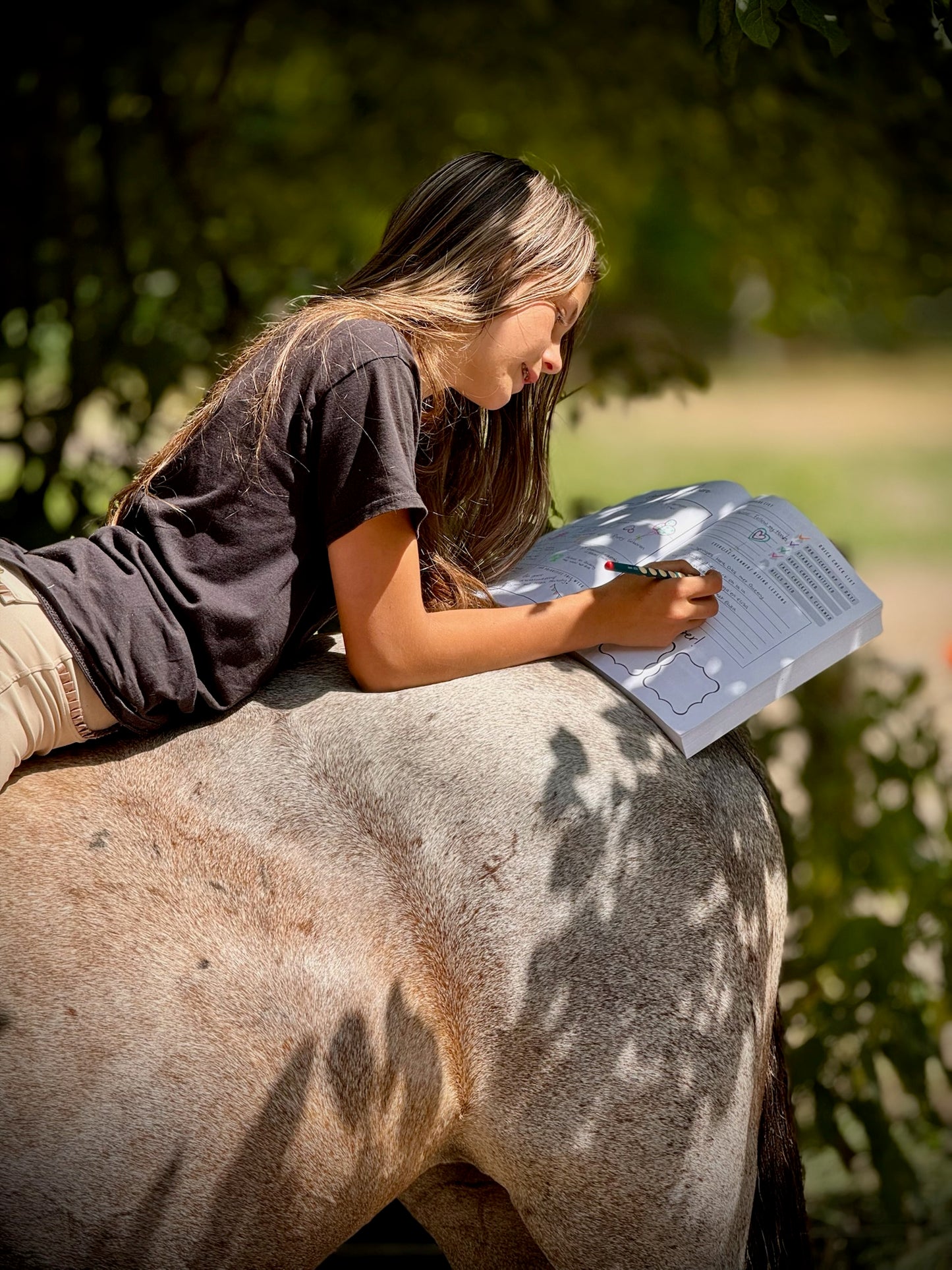 Pony Creative - Planner (EN)