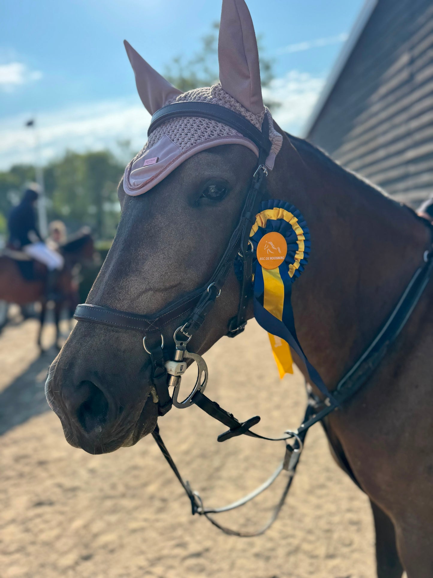 Equestrian Stockholm - SS26 Midsummer Blush - Ohrenschutznetz Modern