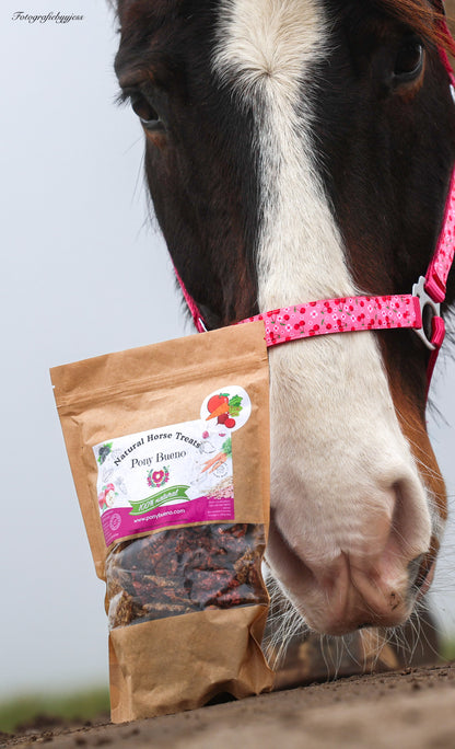 Konska Cukierenka - Natural fruity horse cookies 1L bag