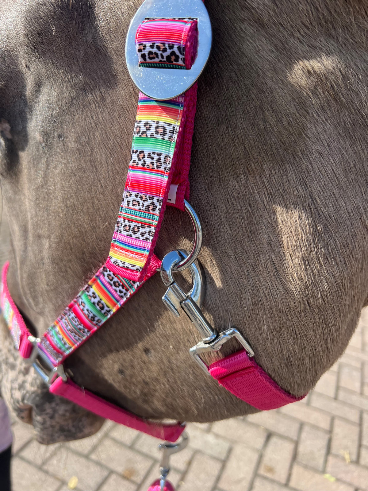 Happy Halster x FMH - Colourful Panther Exclusive halster div. kleuren