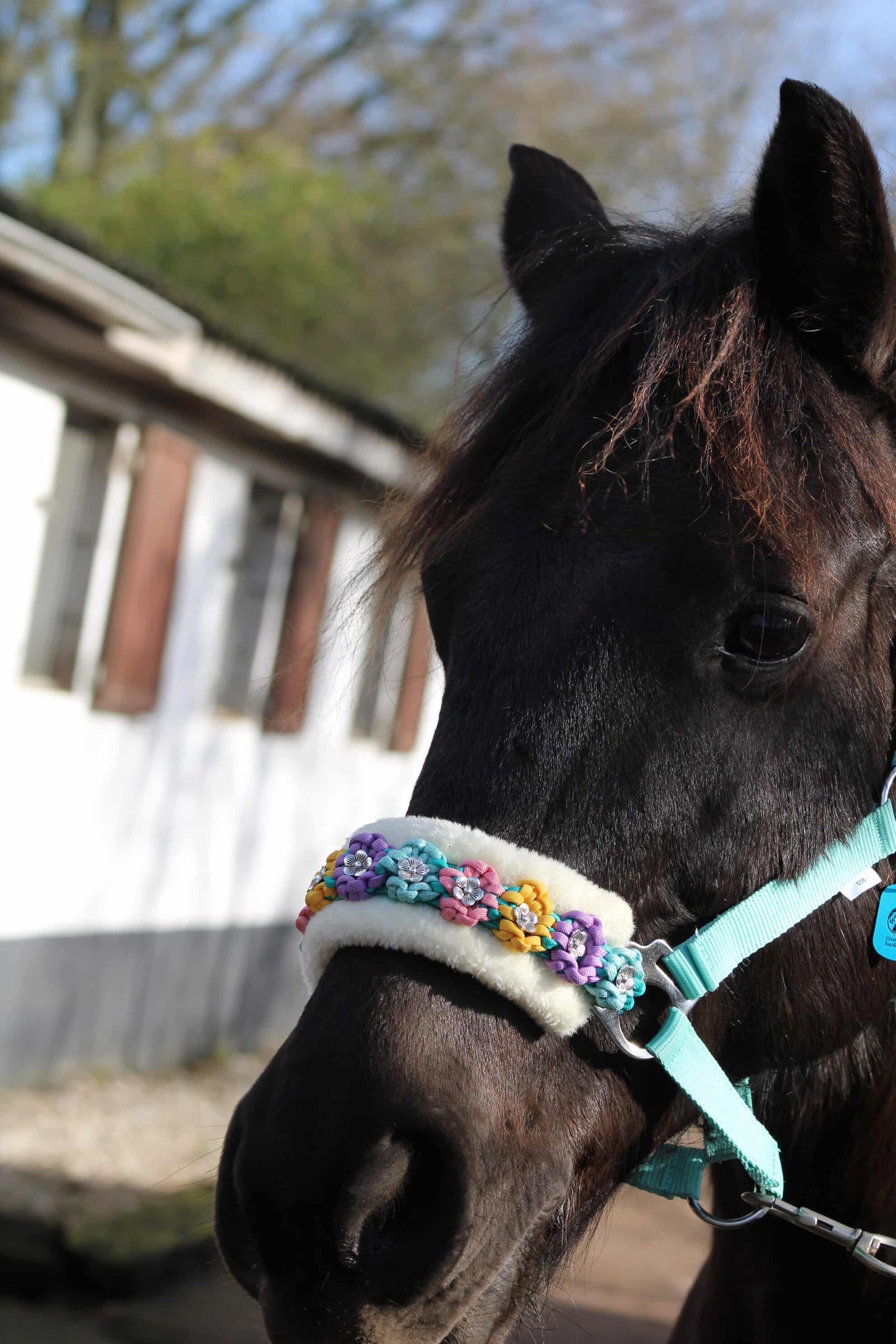 Design Your Own! - Handmade Horse Halters - Custom Design Flower Halter