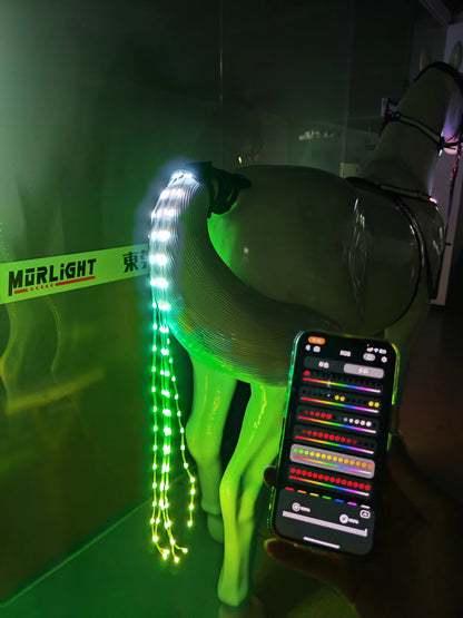 FMH - Luxe LED set voor paarden (borsttuig, frontriem, halsring en staartverlichting) interactief met app