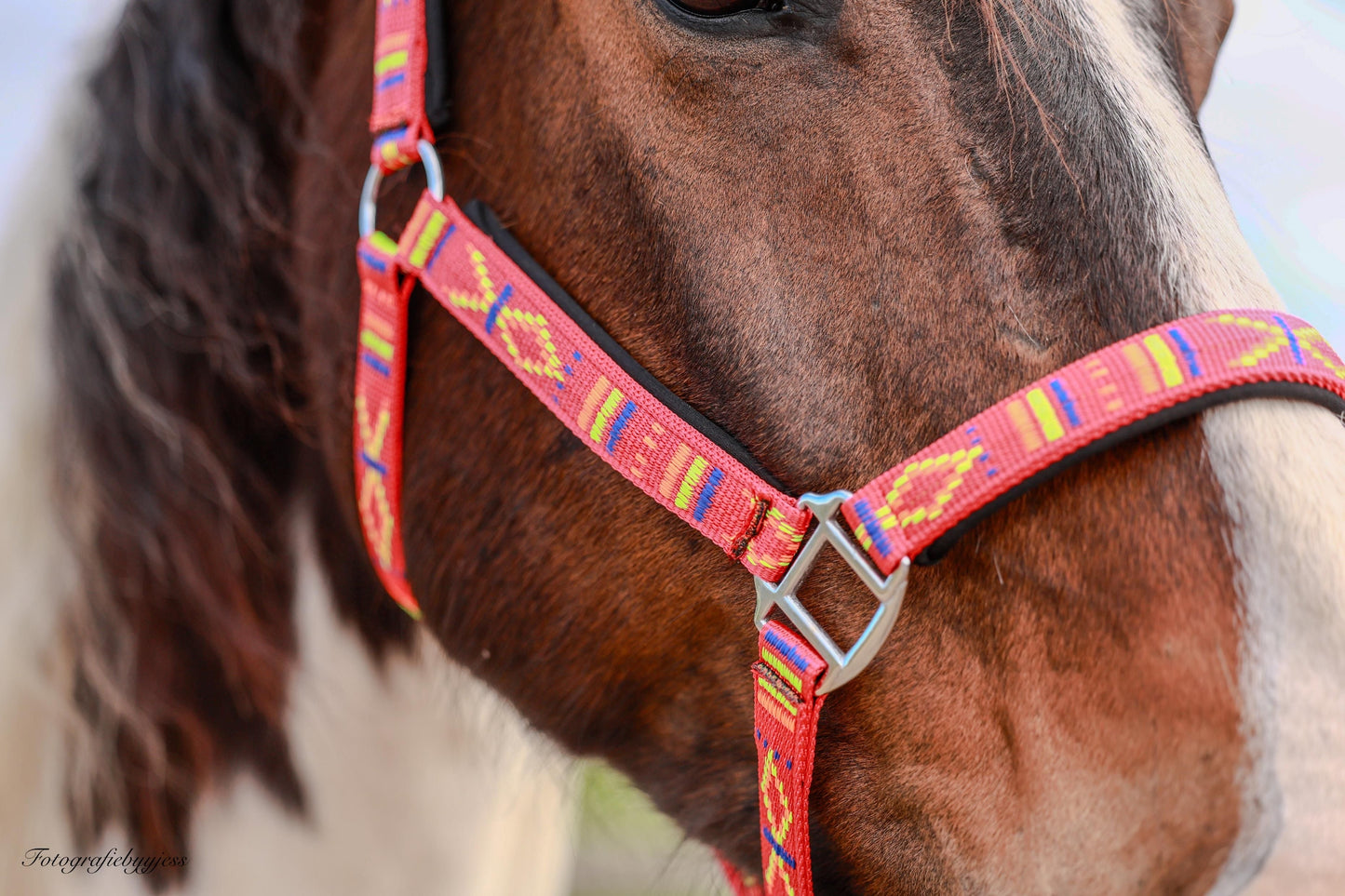 FMH - Besticktes Nylonhalfter mit Polsterung „Nomad Spirit“ Rot