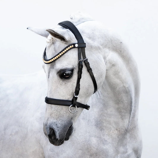 Lumi Pony - Iddy Biddy bitloos hoofdstel