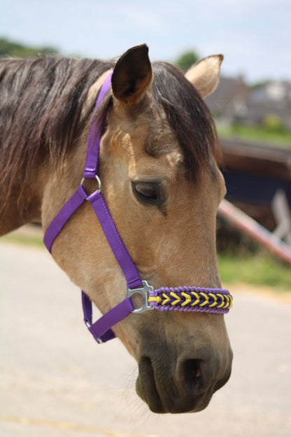 Freni per cavalli fatti a mano - Capestro annodato ‘Followmyhooves’ viola/giallo