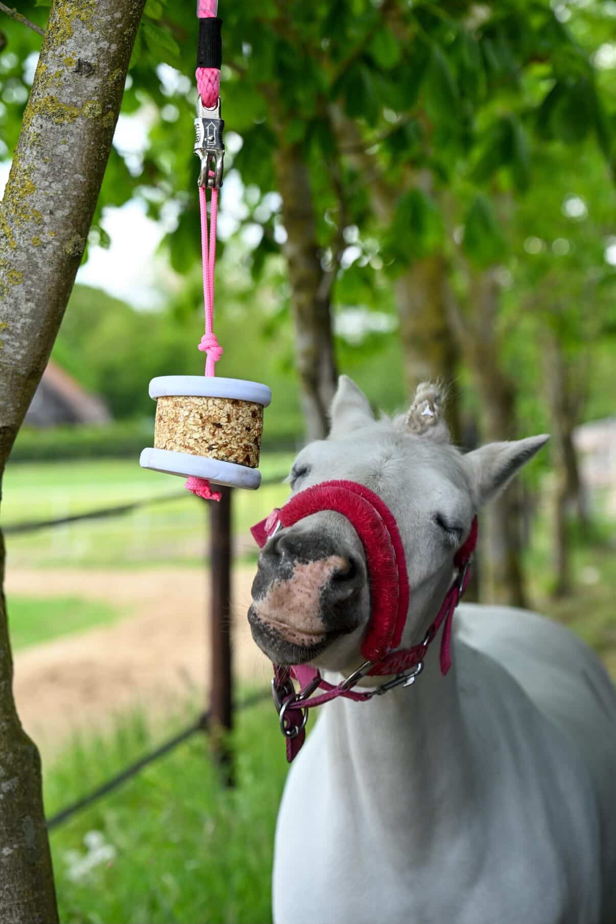 Happy Crackers - Happy Wild ophangsysteem knabbelblok