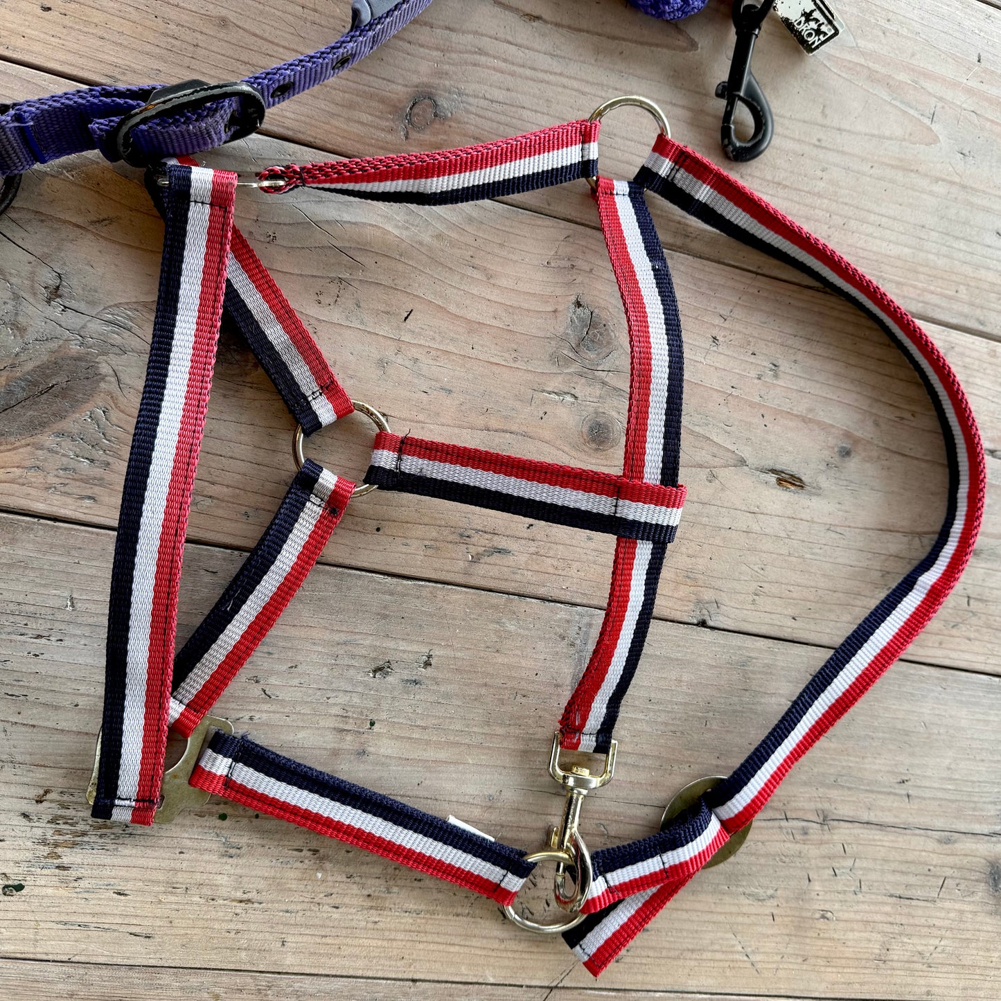 S0013 - 3 Halster en 1 halstertouw, Eskadron en QHP Cob