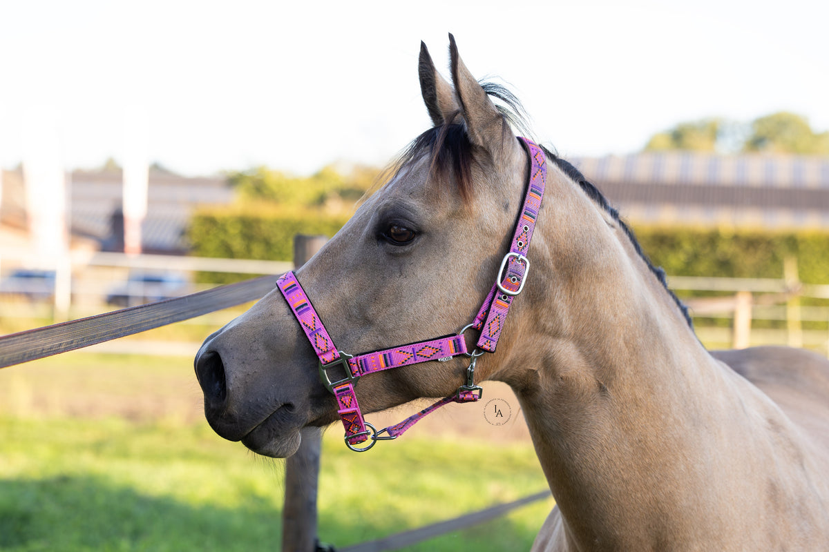 FMH - Embroidered nylon halter with padding ‘Nomad Spirit’ hot pink