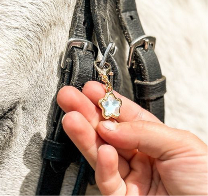 FMH - Lucky Charm Bridle Charm Star Pastel