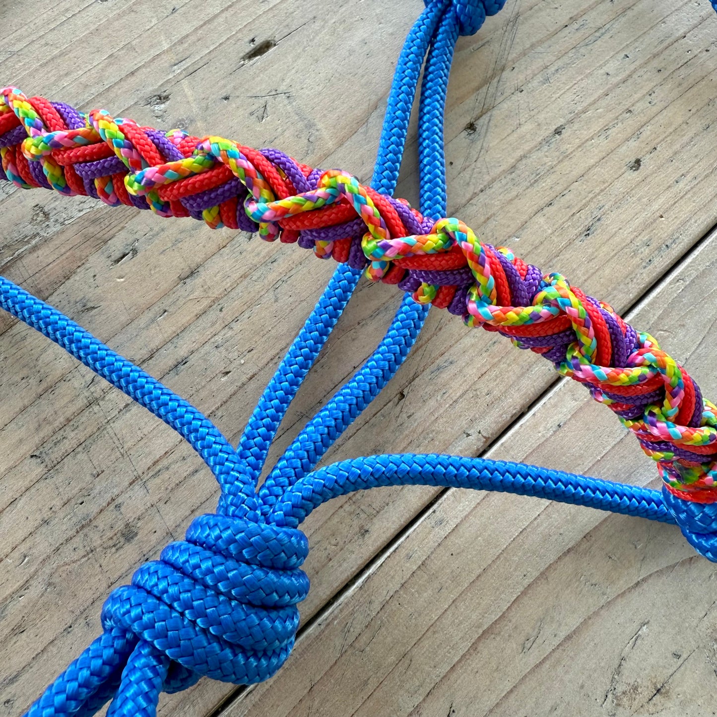 Horse Rope Shop - Touwhalster Nikita ‘Colorlight’ blauw/regenboog