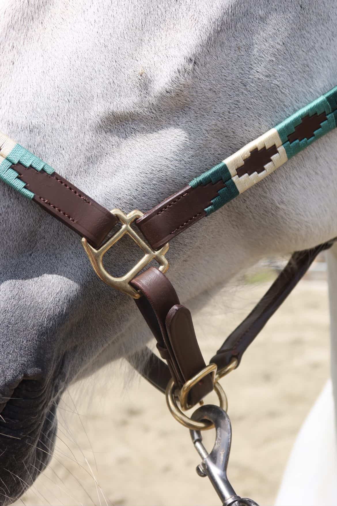 FMH - Licol polo en cuir Havana « Polo Vaquero Seafoam » émeraude/beige