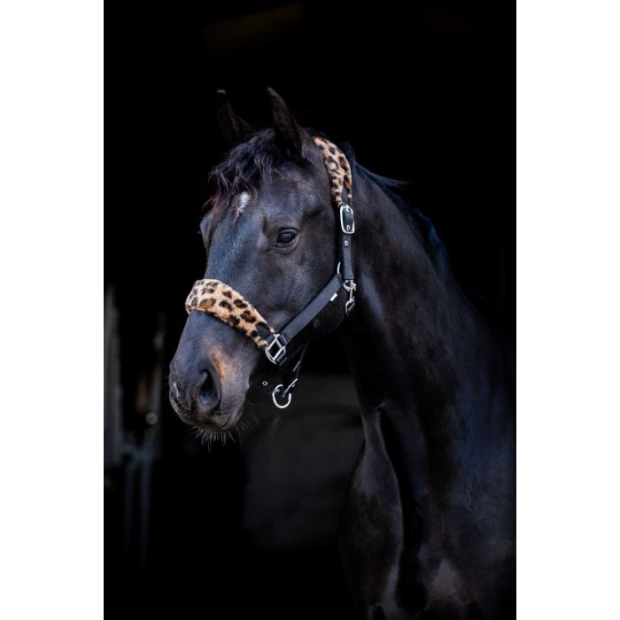 HB - Showtime Funny Luipaard Fleece halster