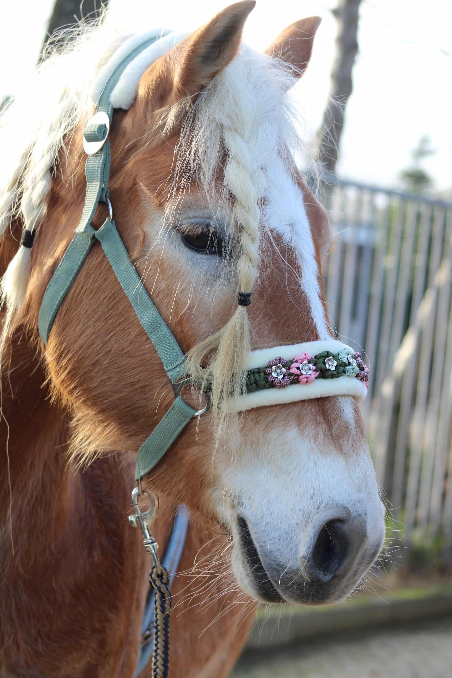 Design Your Own! - Handmade Horse Halters - Custom Design Flower Halter