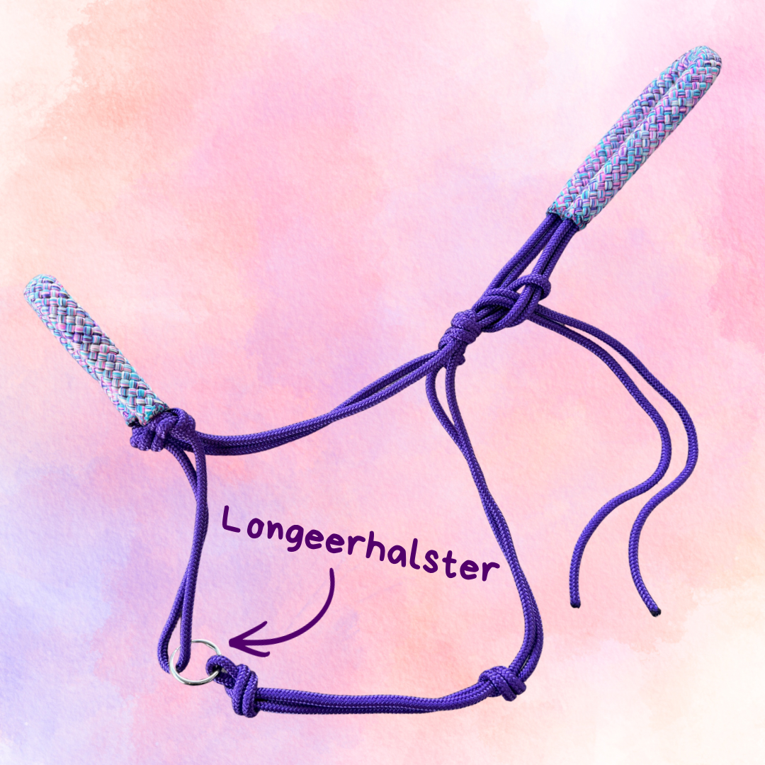 Het Paardenatelier - Longeerhalster Touwhalster ‘Cosmic’ paars/paarsmix
