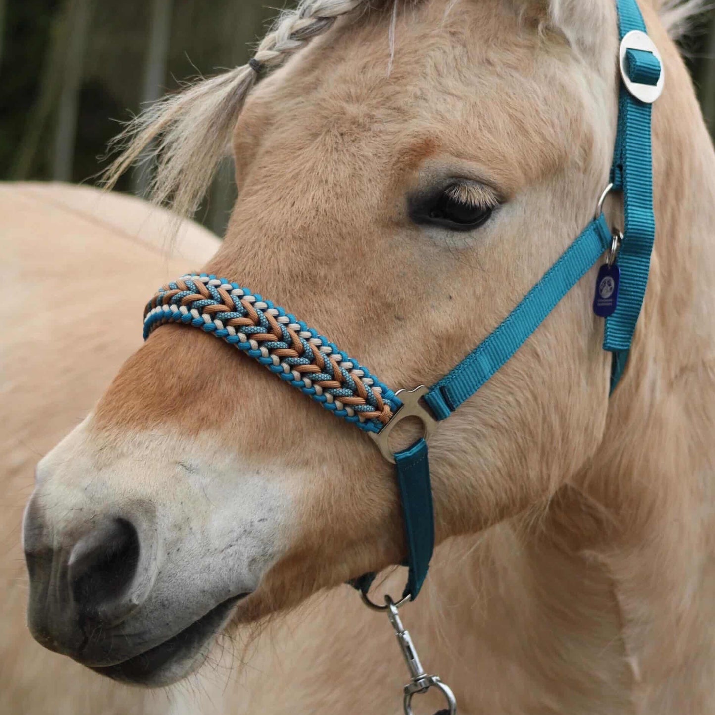 Handmade Horse Halters - Knotted Halter 'Teal Treasure' emerald/teal/caramel