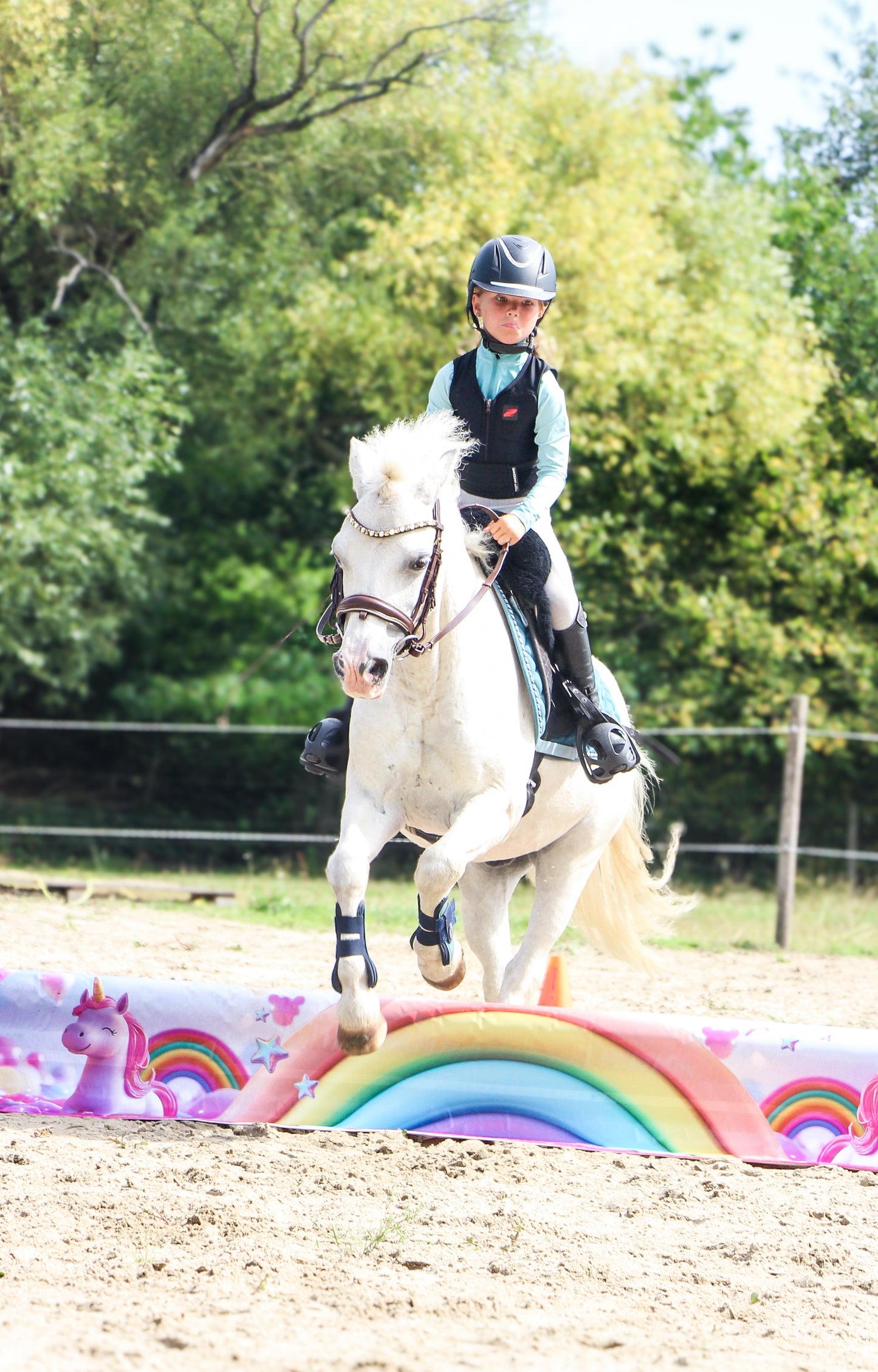 Jumpbanners - Hinderniszeil Bixie Unicorn Dreams