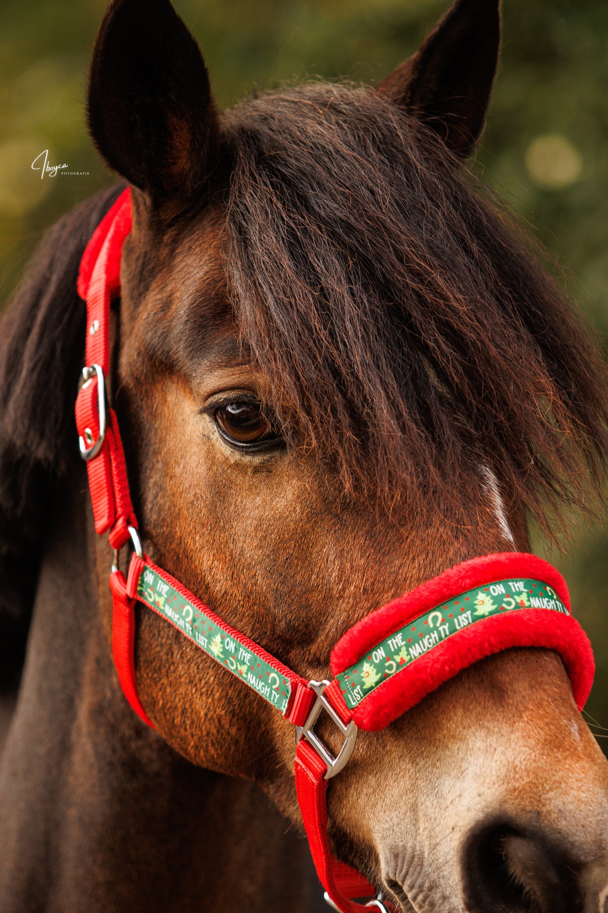 Happy Halsters x FMH - Capestro di Natale Naughty Horse Exclusive (pelliccia) vari colori