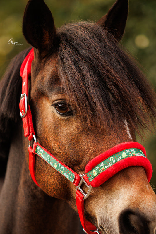 Happy Halsters x FMH - Licol exclusif Naughty Horse Noël (fourrure) plusieurs couleurs