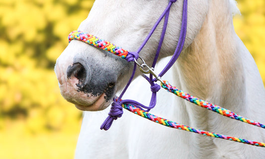Horse Rope Shop - Teugels rainbow