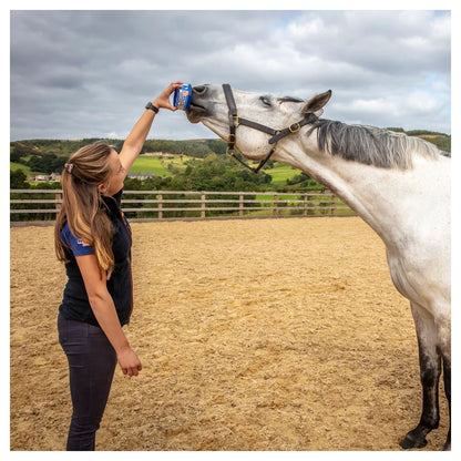 Horslyx - Leckstein Horslyx Mini