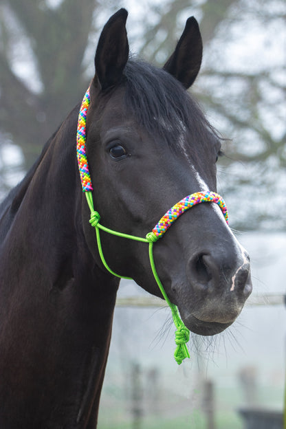 Rope halter apple green with rainbow