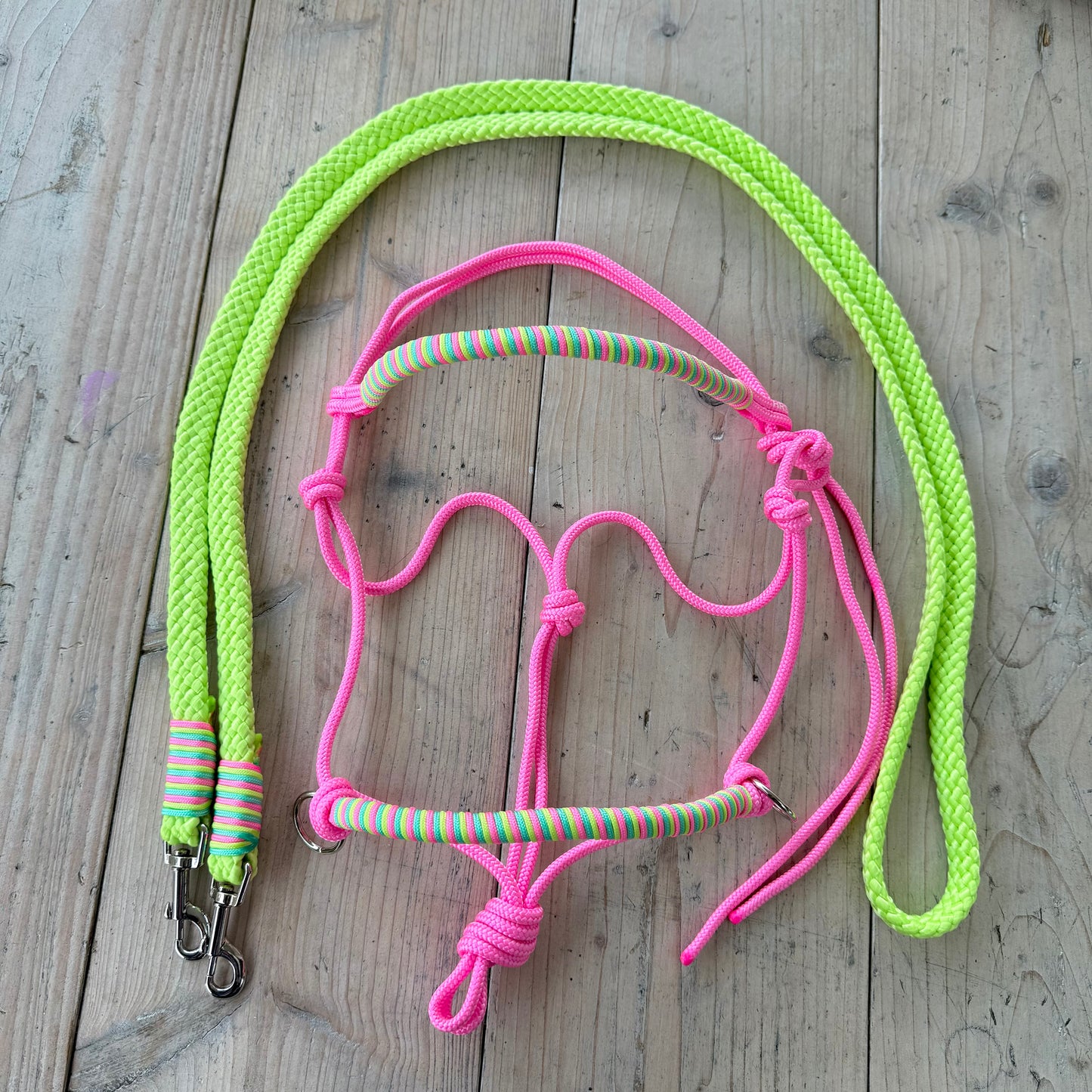 Horse Rope Shop - Rope halter set, riding halter + reins 'Pink Jungle' lime/pink