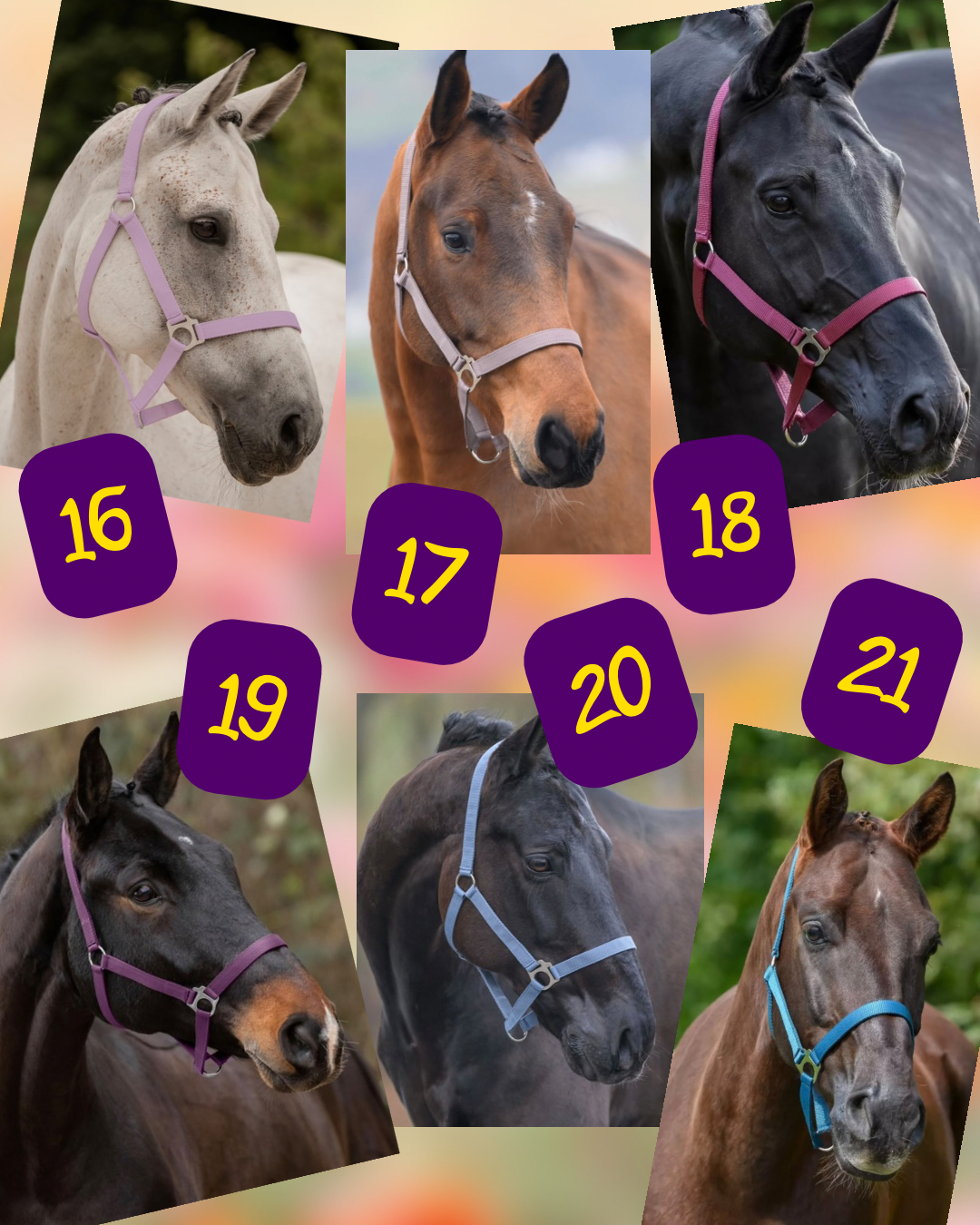 Design Your Own! - Handgemaakte Paardenhalsters - Eigen ontwerp halster