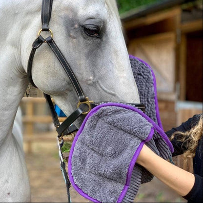 Henry Wag - Equine Mikrofaser Noodle Handschuh Handtuch
